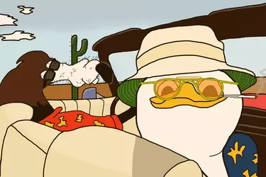 dolan country.webp