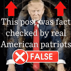 1754008224113.gif
