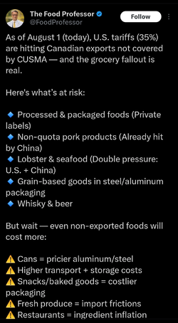Screenshot_20250801_172410_X.webp