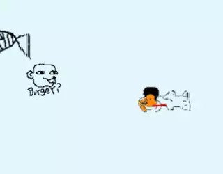 1754201261527.webp