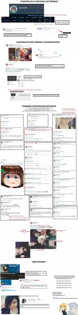 lilytranny.webp