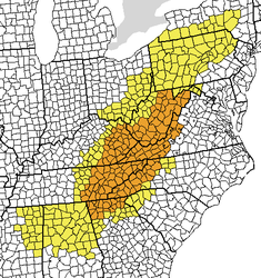 F9955203-2F00-46D3-9F7C-AAF7B6C6665B.png
