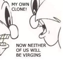 nowneitherofuswillbevirgins.webp