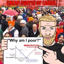 Indian Immigrants Steal Jobs.webp