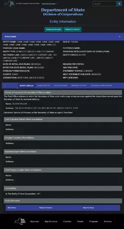 apps.dos.ny.gov_publicInquiry_EntityDisplay (1).webp