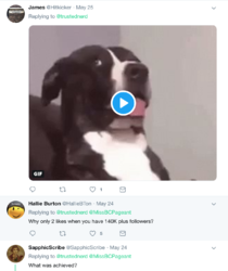 Screen Shot 2019-05-26 at 4.30.49 PM.png