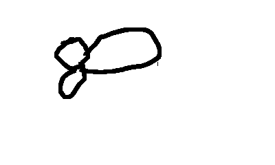 1754507095397.webp