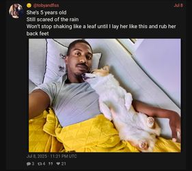 Screenshot_2025-08-07-20-32-38-174.webp