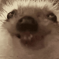1754694720913019.gif