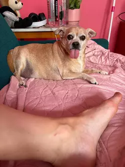 1754769320846.webp