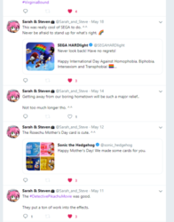 SS10.png