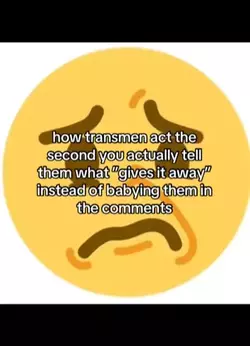 1756021422654.webp