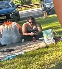 reddit mods in the wild.webp