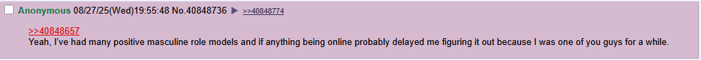 14.webp