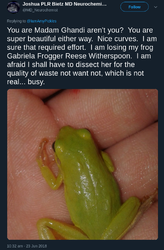 dissect my frog because why not.png