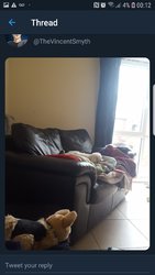 Screenshot_20190604-001202_Twitter.jpg