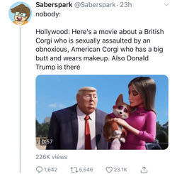 B7217C8F-4DDC-4658-93AB-C31D0DFBC4A0.jpeg