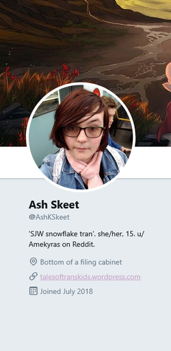 Screenshot 2025-08-28 at 23-06-28 Media Tweets by Ash Skeet (@AshKSkeet) Twitter.webp
