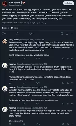 for-agoraphobic-folks.webp