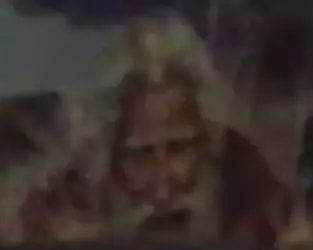 dafuq2.jpg.webp