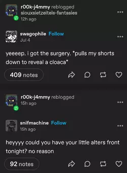 Screenshot_20250913_144750_Tumblr.webp