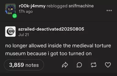 Screenshot_20250913_144814_Tumblr.webp