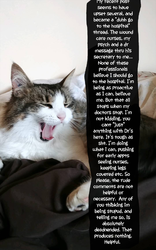 Screenshot_20190607-115045~2.png