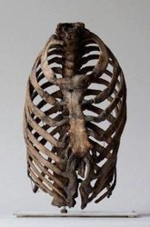 corset1.jpg