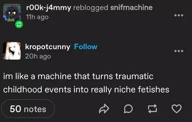 Screenshot_20250914_170016_Tumblr.webp