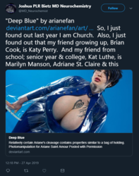 my friend is katy perry.png