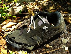 shaneshoe.jpg
