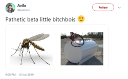 1560331887022.png