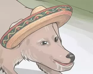 mexinull.webp