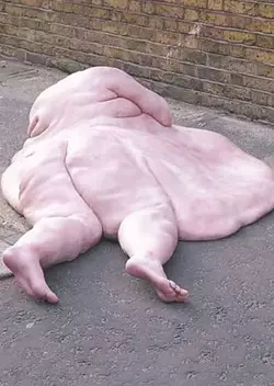 1000010946.jpg