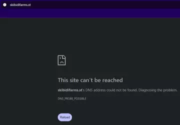 nodns (1).png