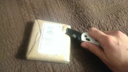 IMAG0498.jpg