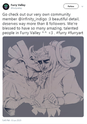 furryvalley_twitter_infinityindigopromo.png