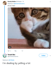 1560737026644.png