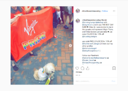 Screenshot_2019-06-17 Chloe the Assistance Dog ( chloetheassistancedog) • Instagram photos and...png