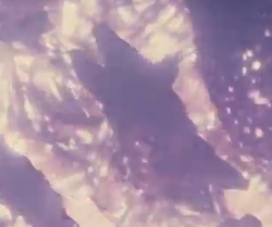 johnrodan.png