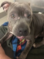 DADE6813-1832-46CC-8E6E-7AA03699C7B3.jpeg