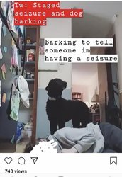 4A45543B-06B7-4CA1-AF0B-94FD8D3AE5BB.jpeg