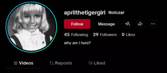 1762247191008.png