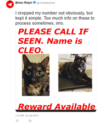 cleo wanted poster.png