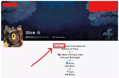 pl.png