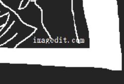 Screenshot_20190625-220559.jpg