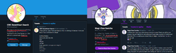 twitter screens.png