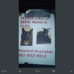 Screenshot 2019-06-28 at 11.20.41 PM.png