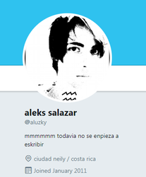 aluzky_twitter_oldaccount.png