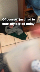 207216059619902804212046113589Story.png